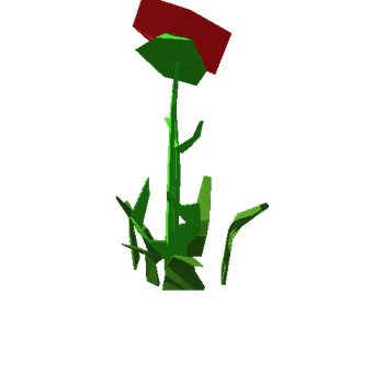 Rose Fullbloom